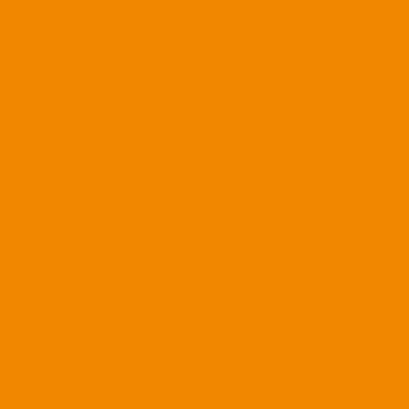 Bekro Dye (Orange) 10g