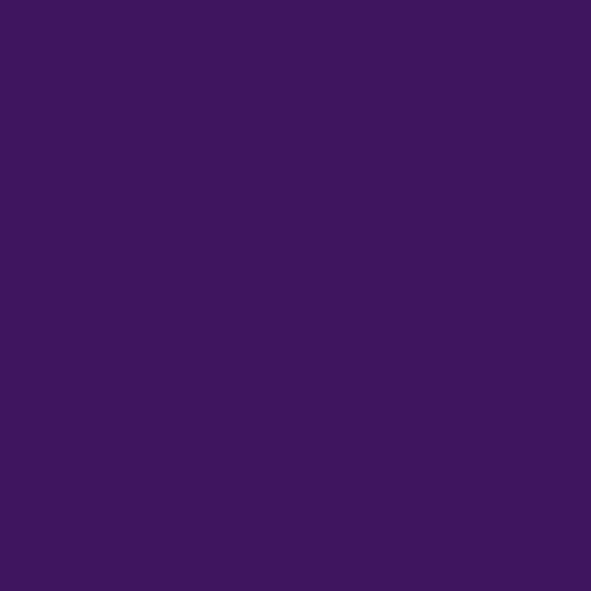 Bekro Dye (Dark purple) 10g