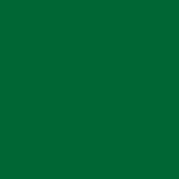 Bekro Dye (Dark Green) 10g