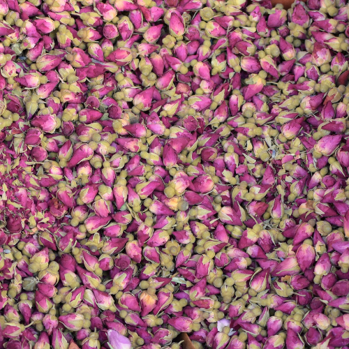 Pink Rose Bud Botanicals